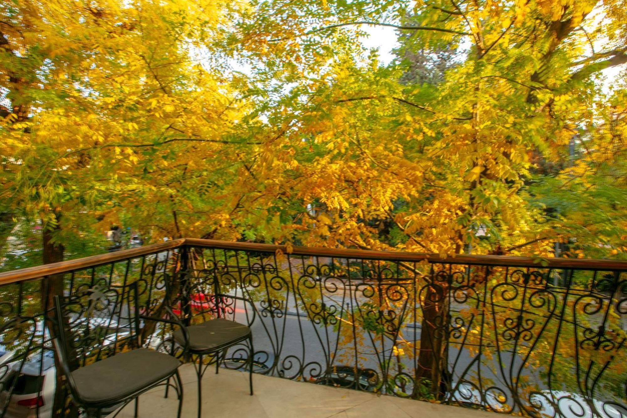 Theatrum Hotel Baku Extérieur photo Autumn in Aspen